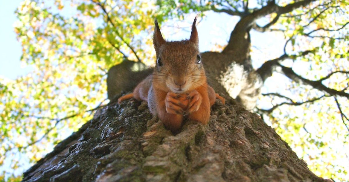 Hilarious anniversary card ideas that will bring laughter!