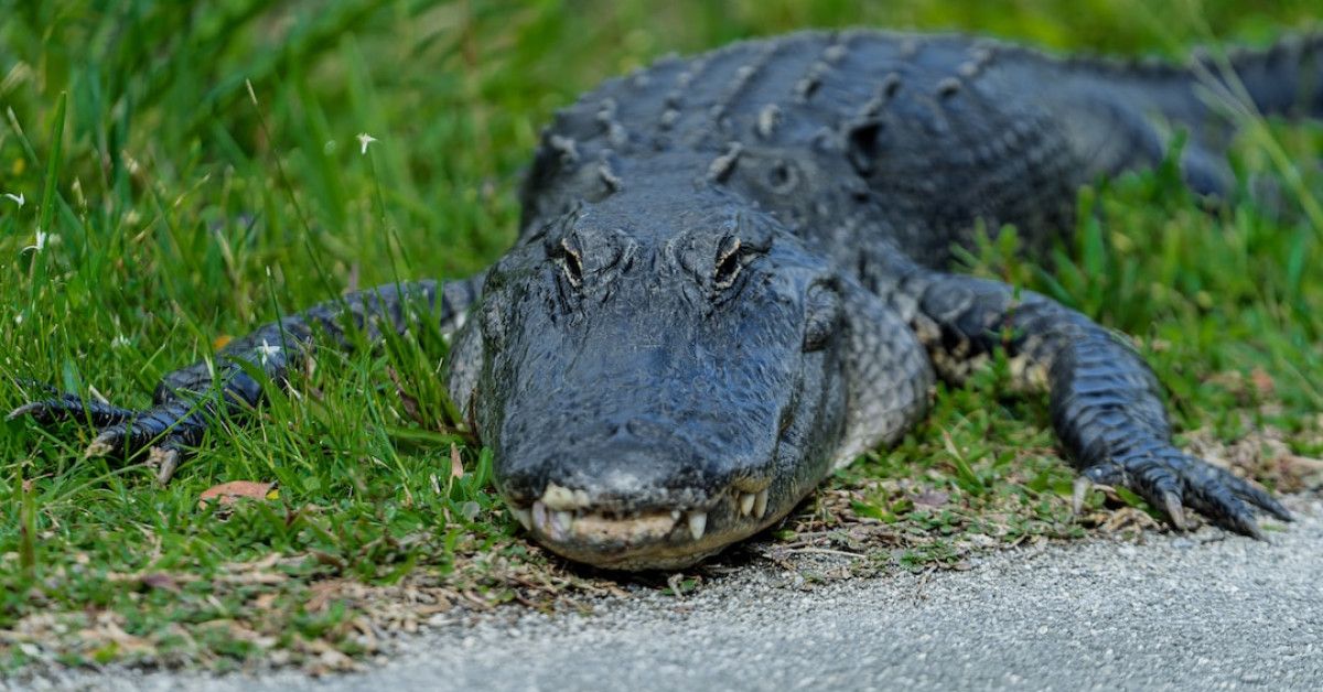 Anniversary gift ideas for men that capture their hearts.