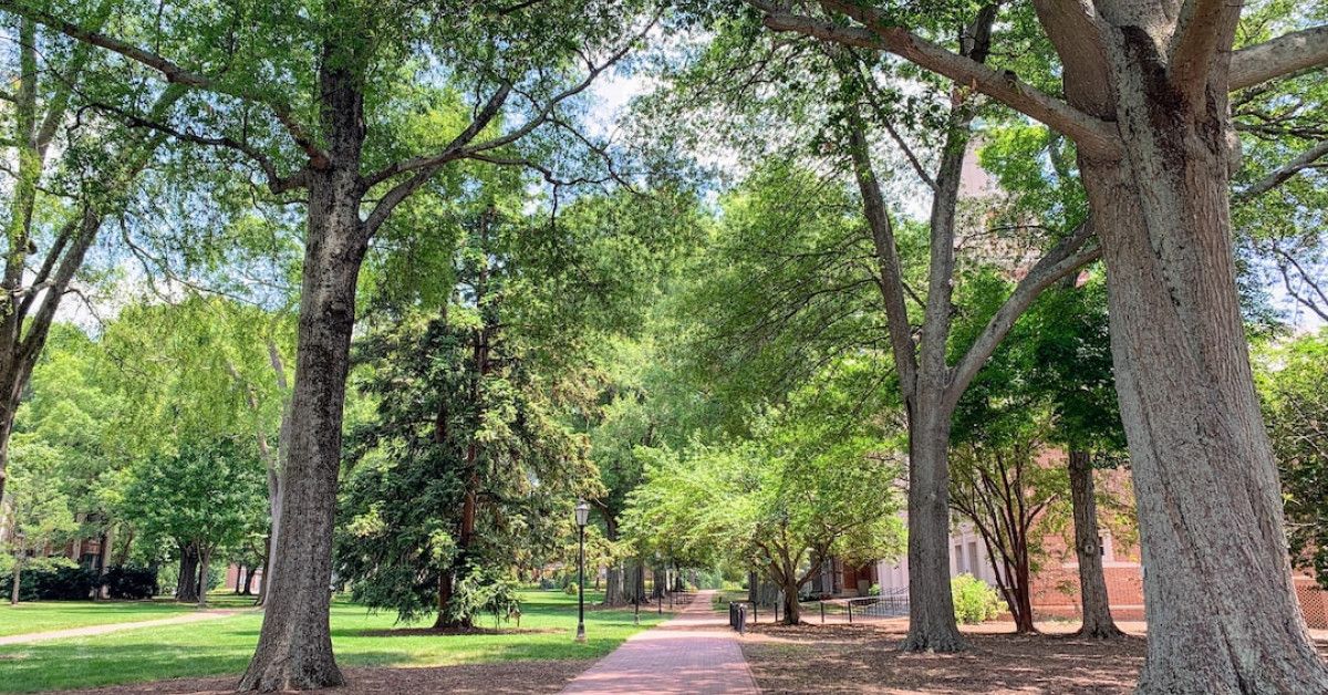 Harley Davidson 100th Anniversary Celebration - Image