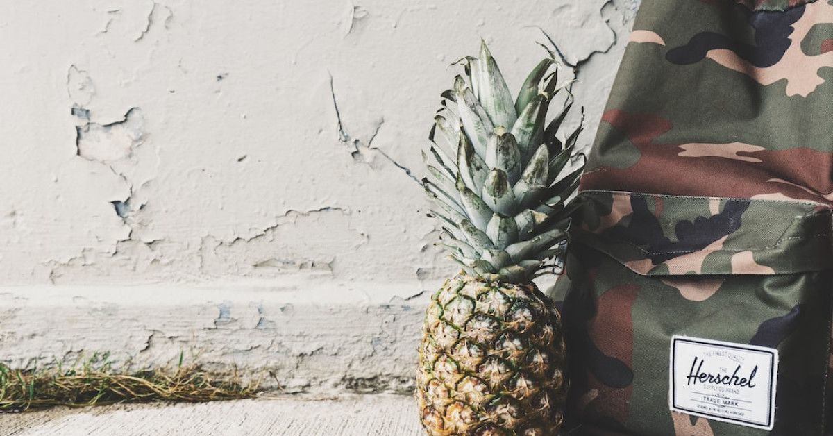 Disney 50th Anniversary joyous backpack reflects magical celebration.