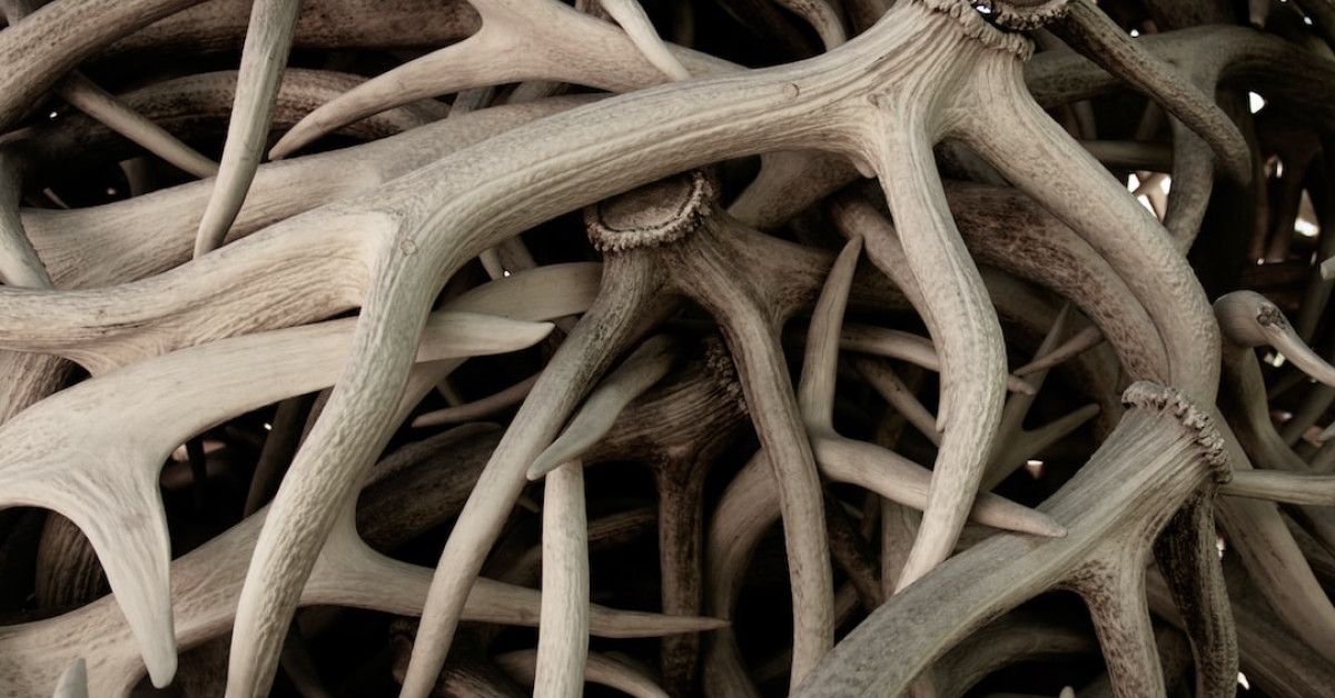 Michael Jackson, celebrating the legacy of a musical icon.