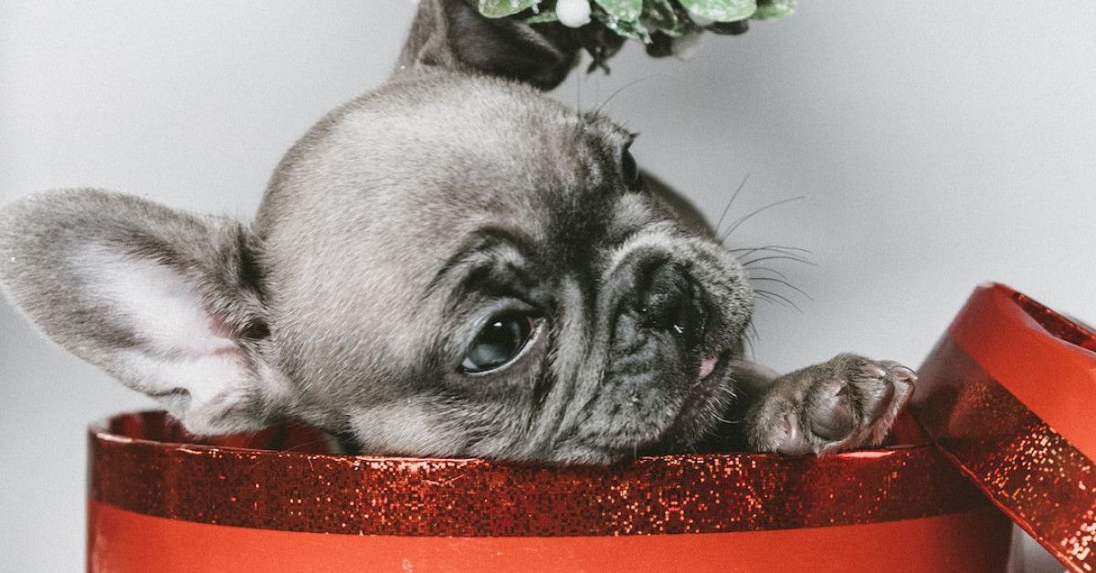 Rochelle Humes shares adorable anniversary tribute photo with Marvin Humes.