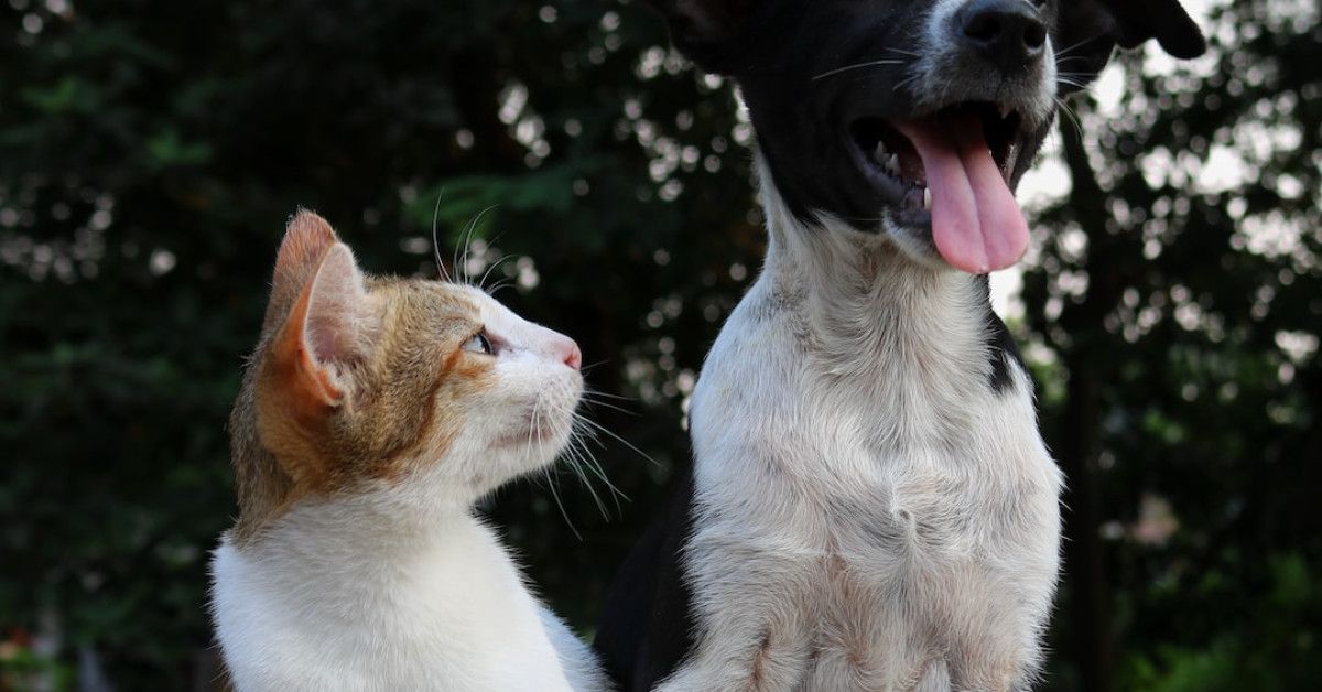 Hilarious and Funny Anniversary Cards - Icerik Planla