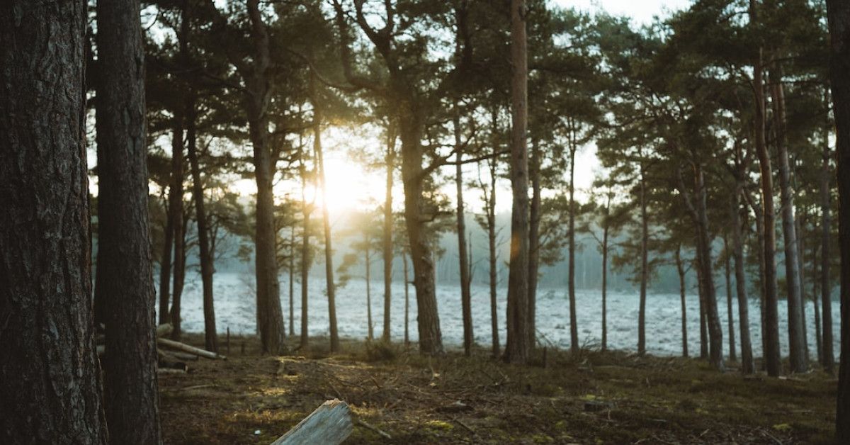 Wood anniversary gifts for him - The Ultimate Guide