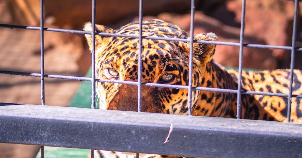 Milestone Celebration Gifts for Him, Her and Parents - Image